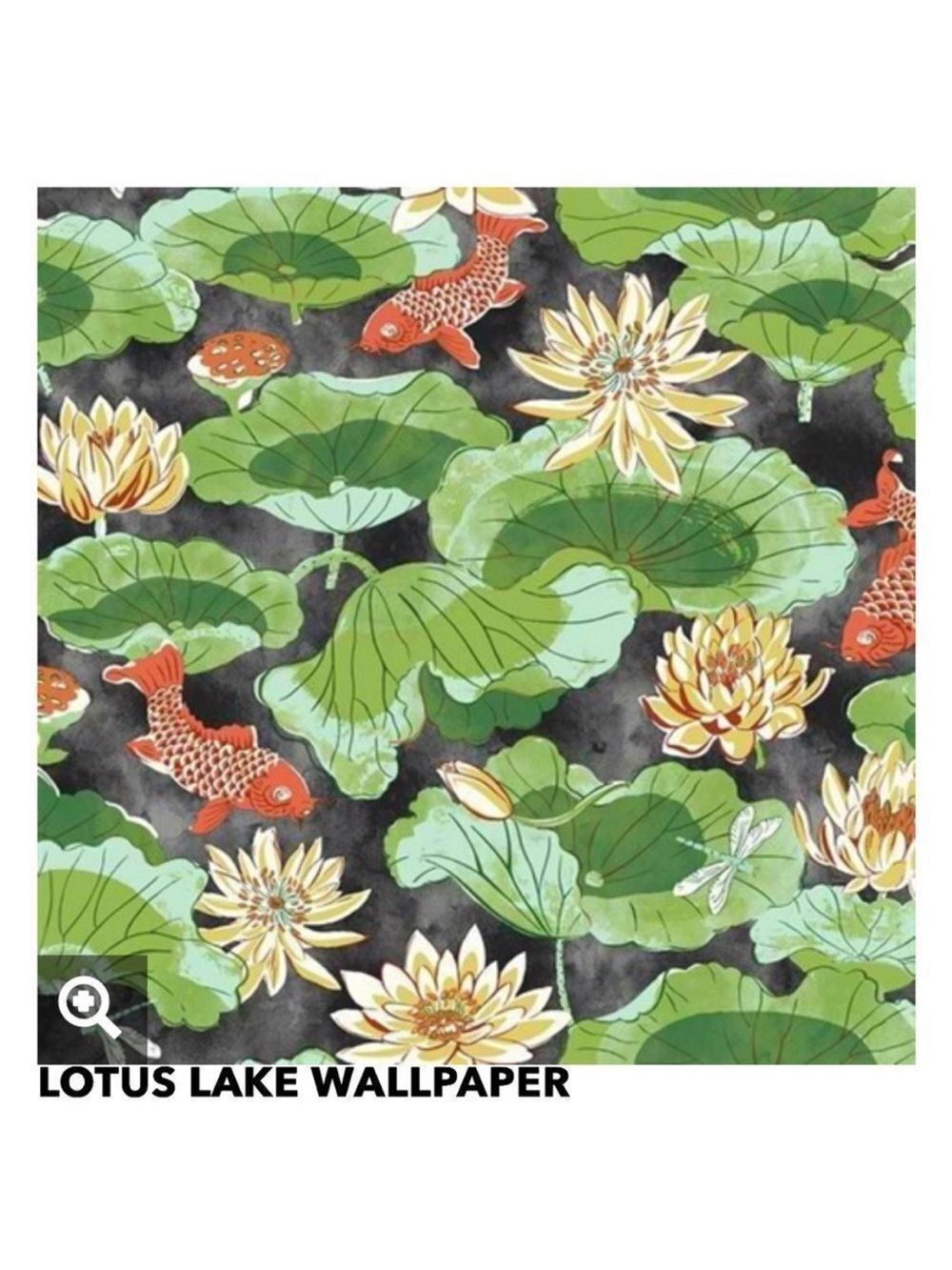Waverly Classics Floral / Koi Fish Wallpaper two rolls discontinued Lotus Lake